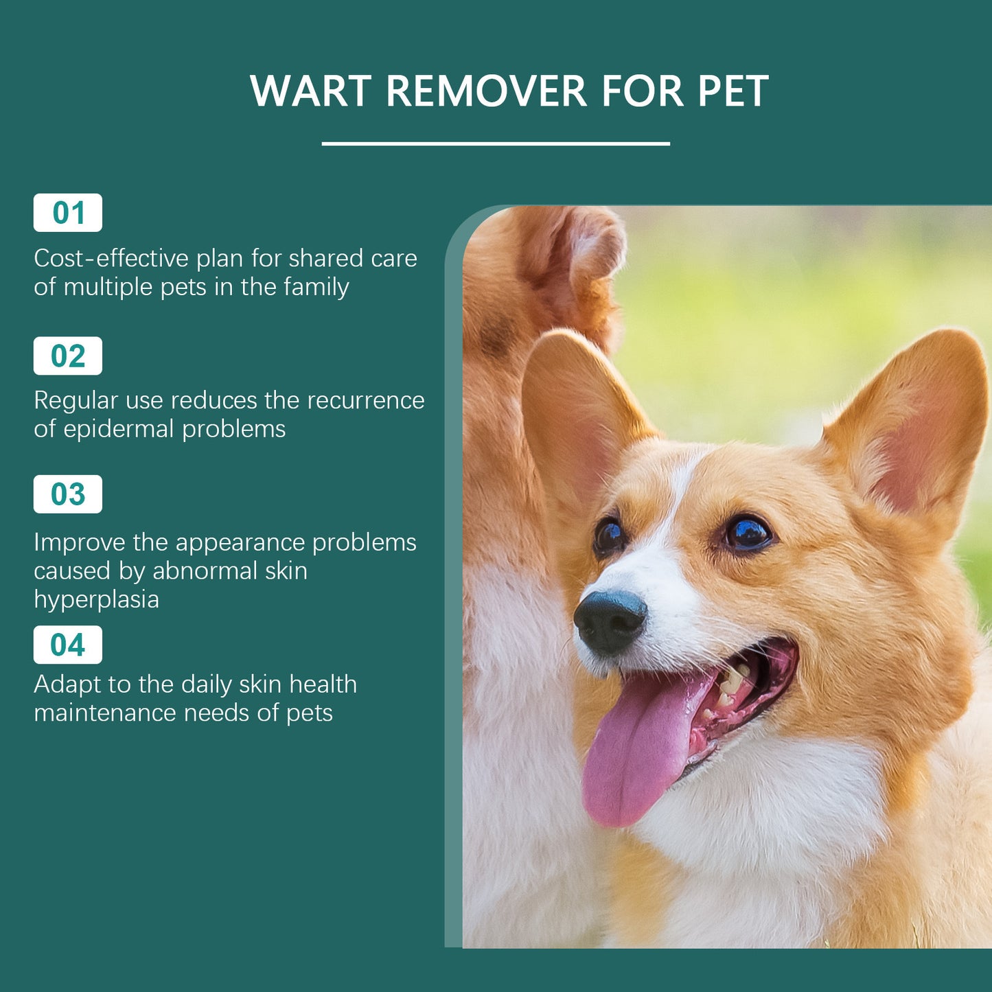 Dog  Care Skin Drops