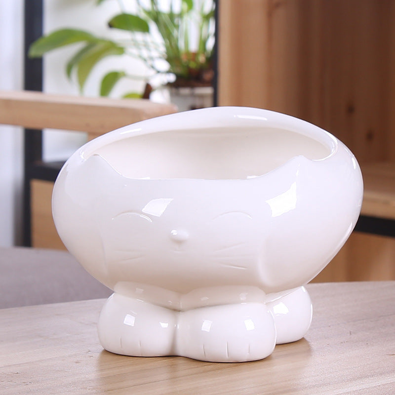 Cat Feeder Waterer