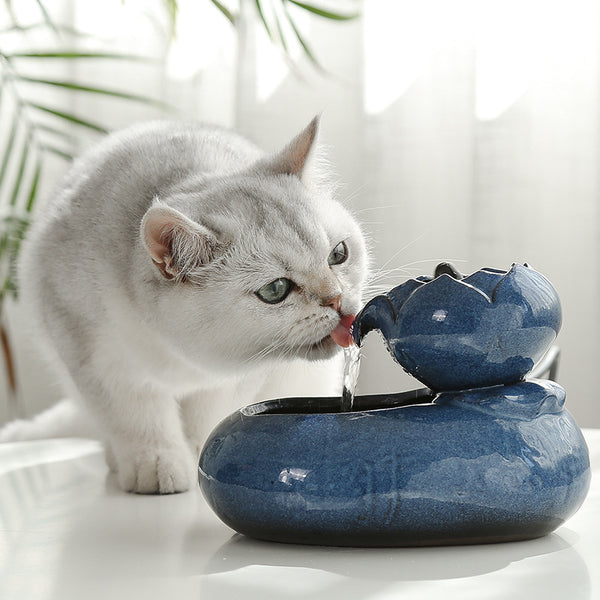 Cat Feeder Waterer