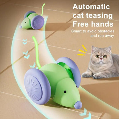 Auto Cat Teaser