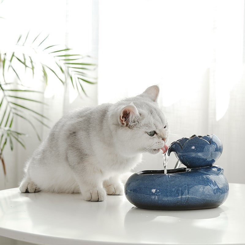 Cat Feeder Waterer