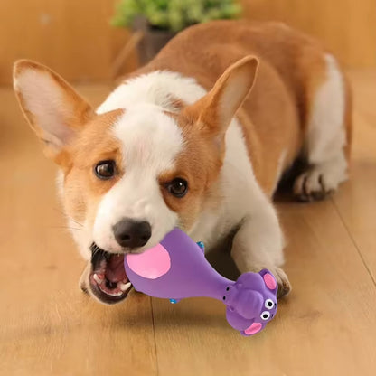 Dog Chew Toy Set