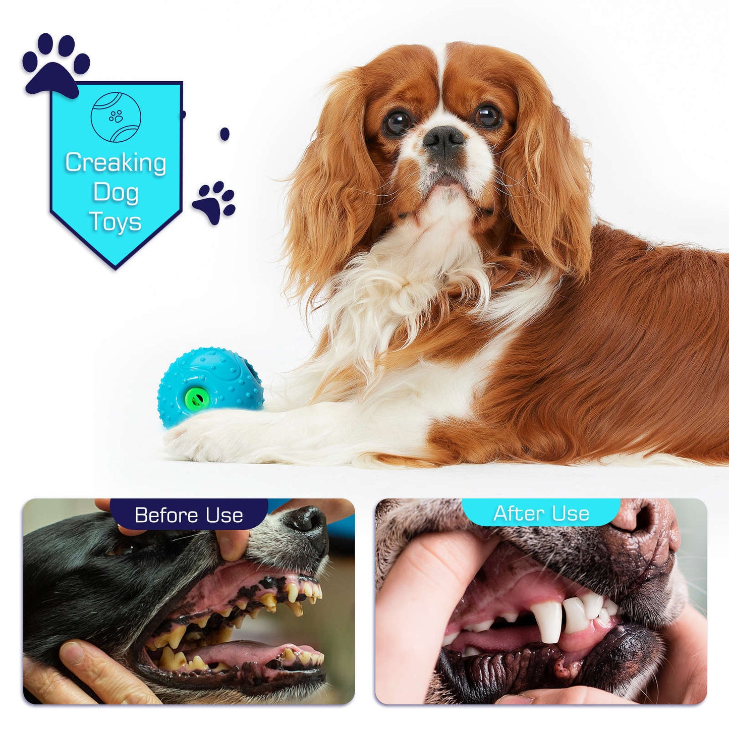 Squall Ball Dog Playmate Toy