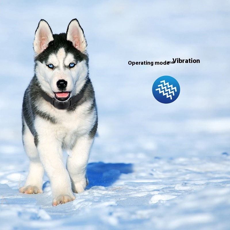 Rechargeable Anti-Bark Collar