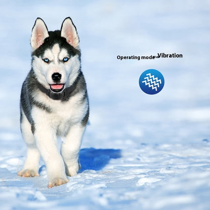 Rechargeable Anti-Bark Collar