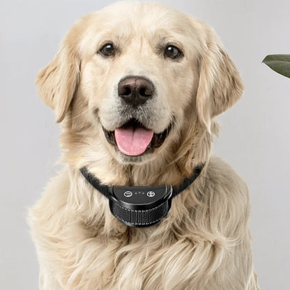 Rechargeable Anti-Bark Collar