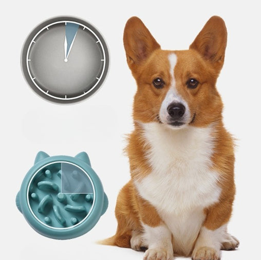 Anti-Gulping Slow Feeder