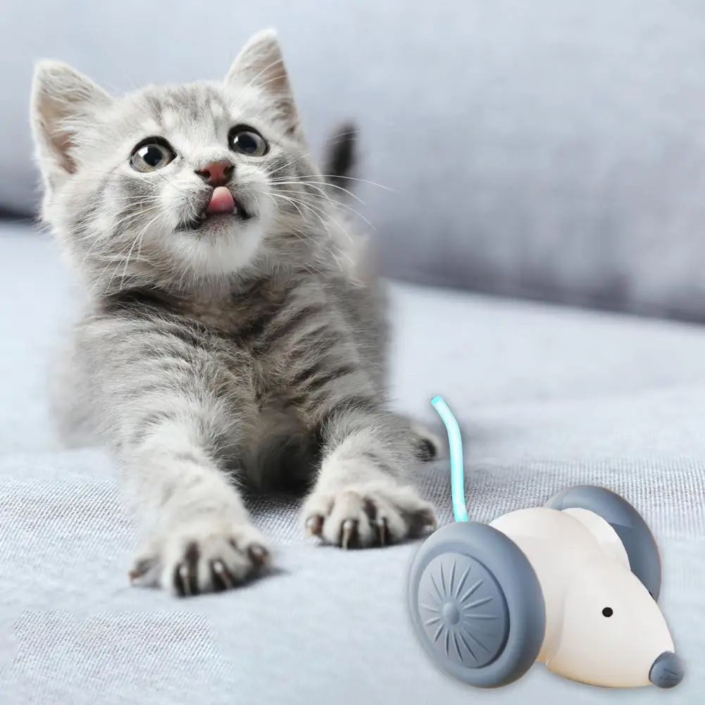 Auto Cat Teaser