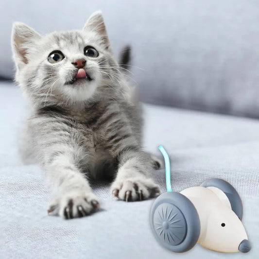 Auto Cat Teaser