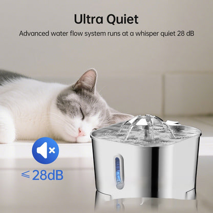 Pet Water Fountain