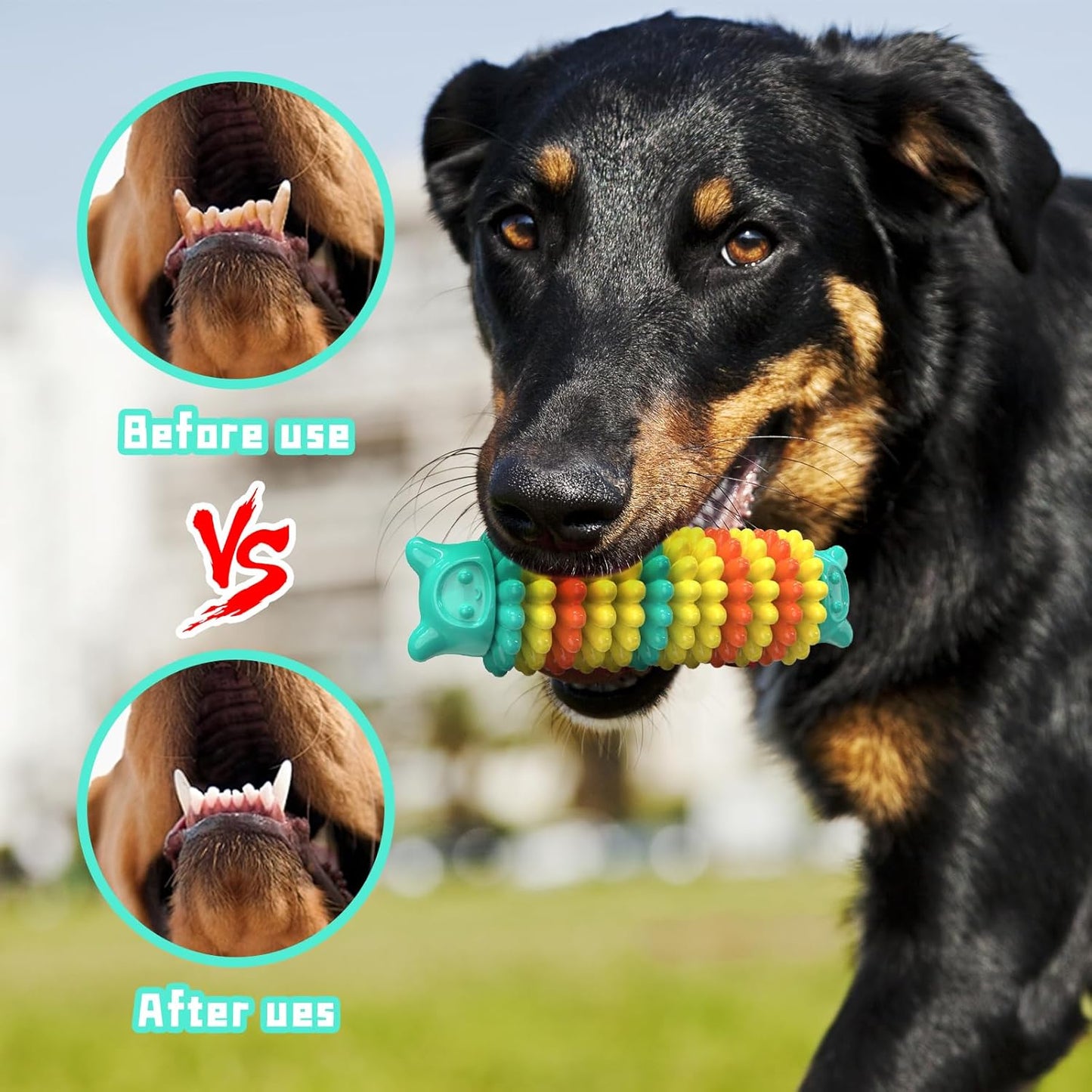 Indestructible Dog Toy