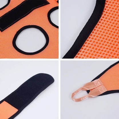 Dog Grooming Restraint Bag