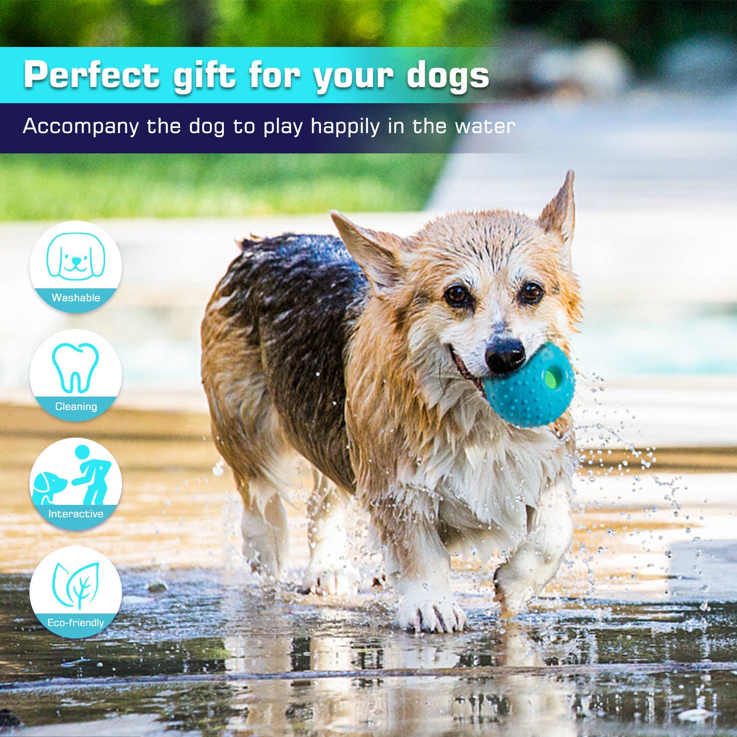 Squall Ball Dog Playmate Toy