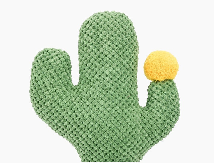 Cactus Cat Climbing Frame