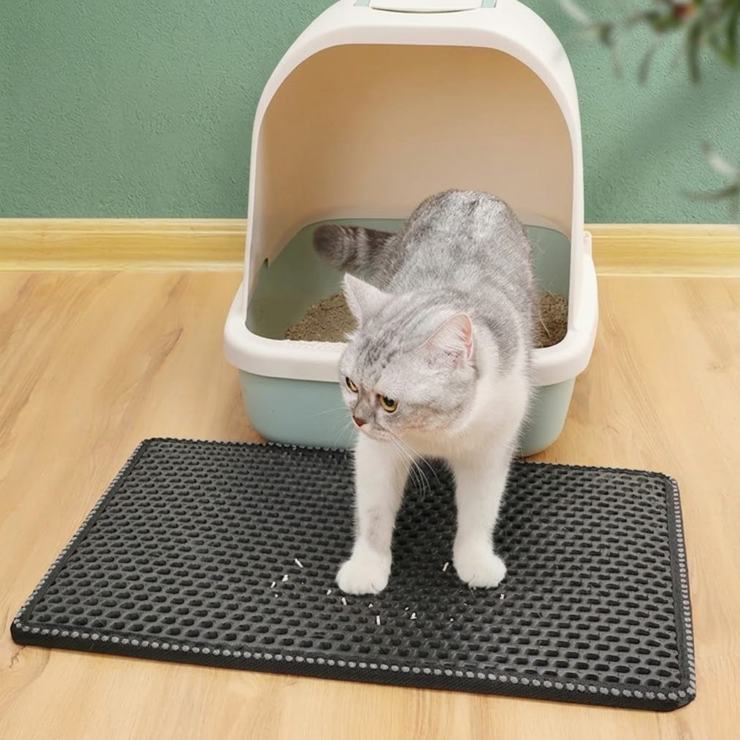 Double Layer Cat Litter Mat